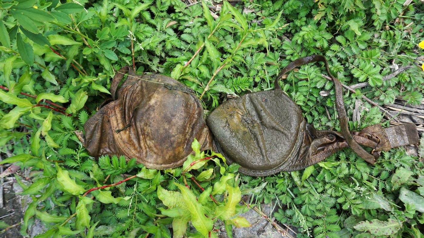 Buried Underwear Soil Health Study