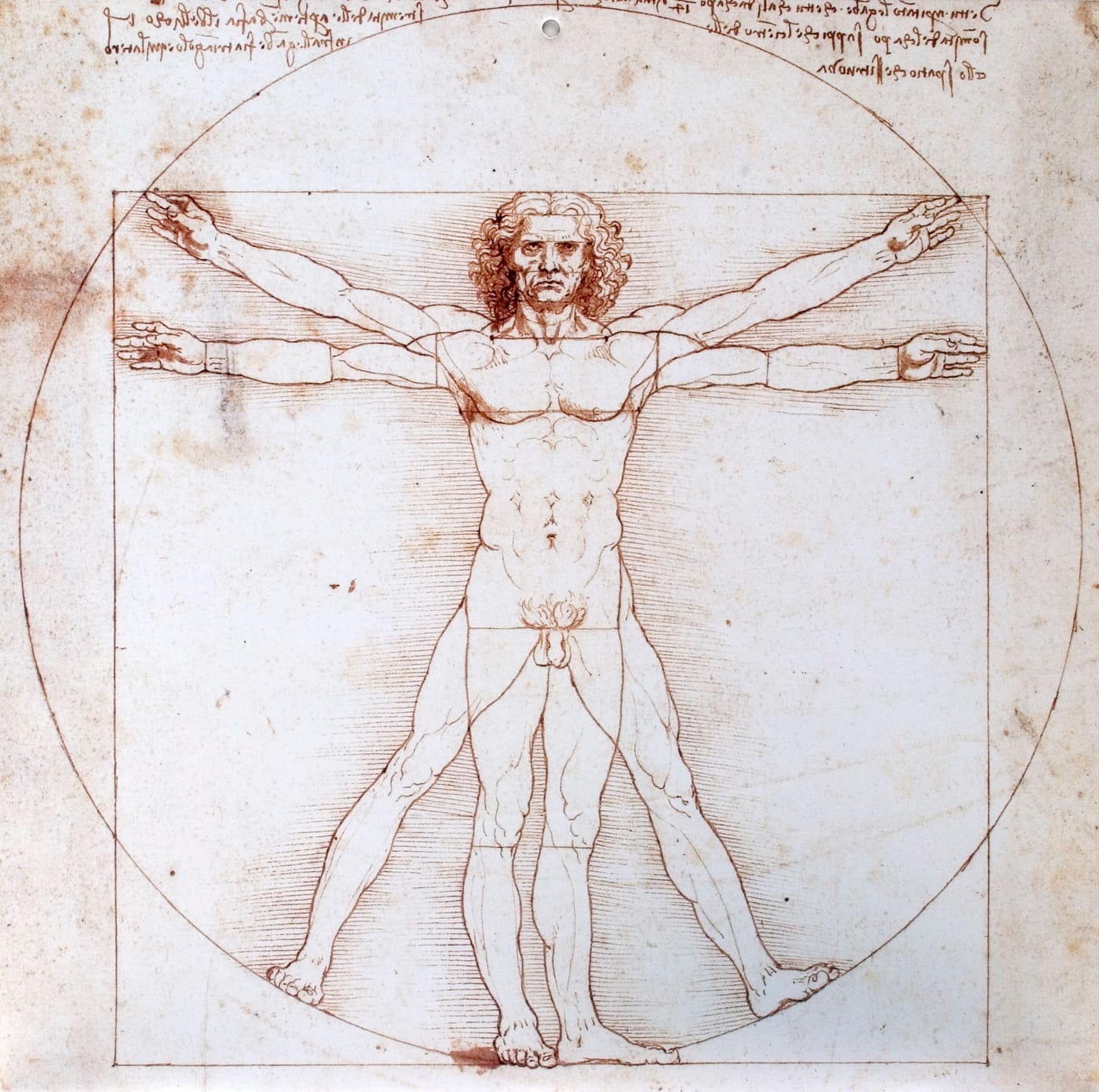 Portrait of Leonardo da Vinci