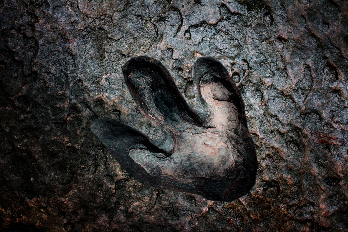Titanosaur Gobi footprint