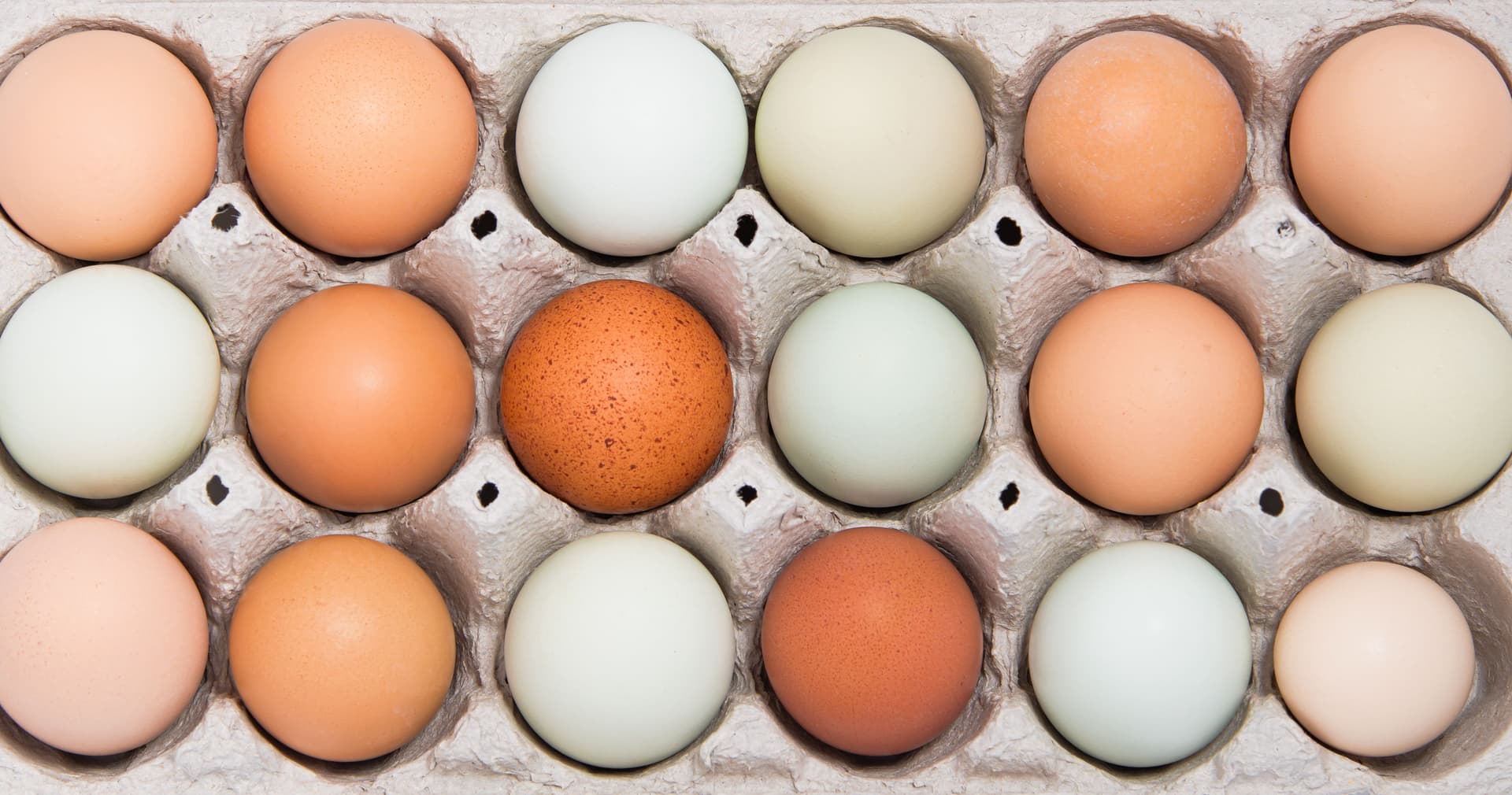 Fresh eggs in a carton
