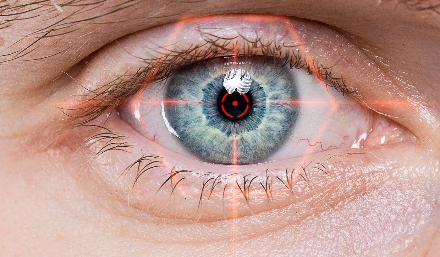 Retina