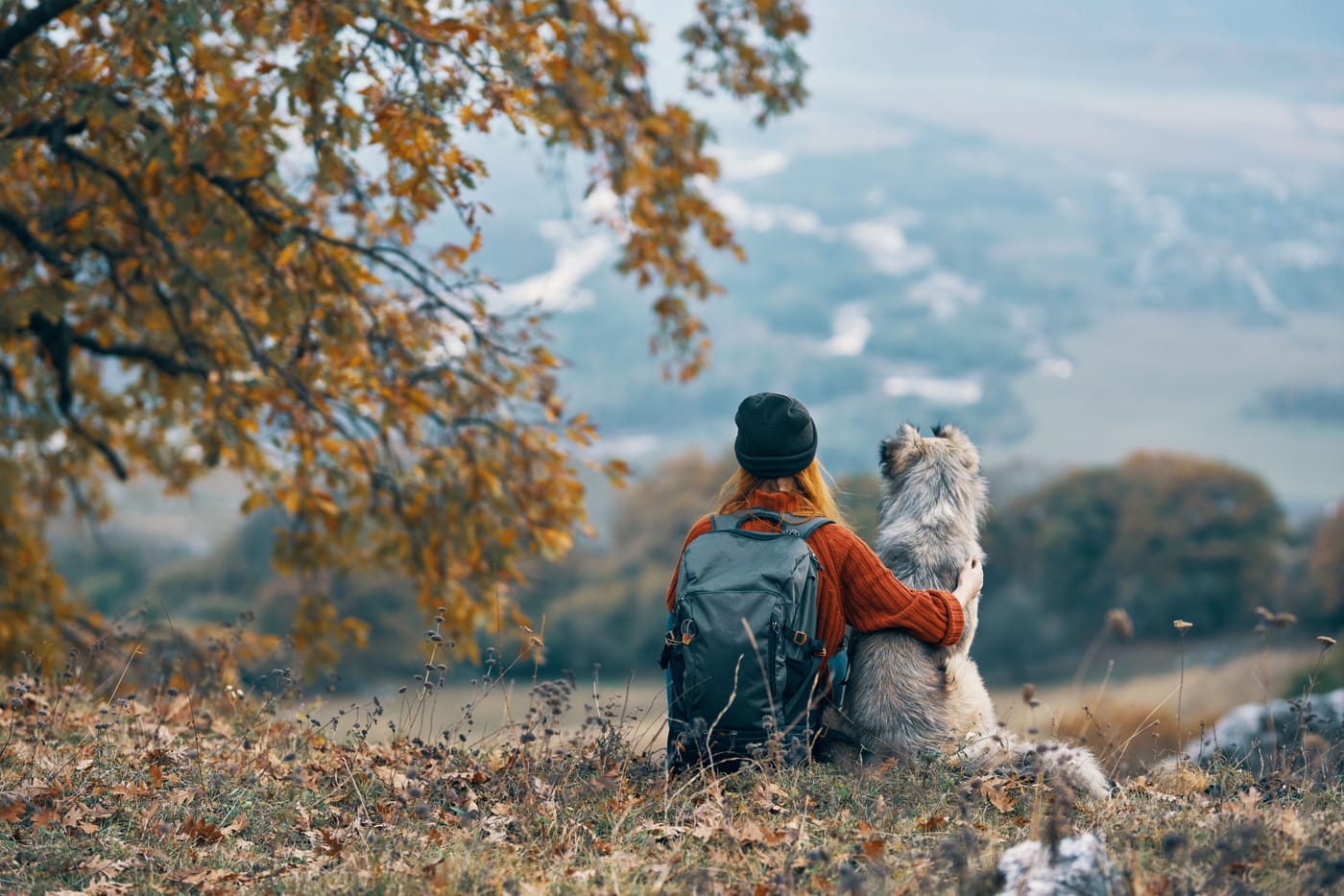 Person hiking with a dog on an Alaskan trail