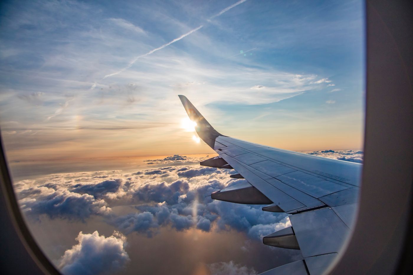 plane wing