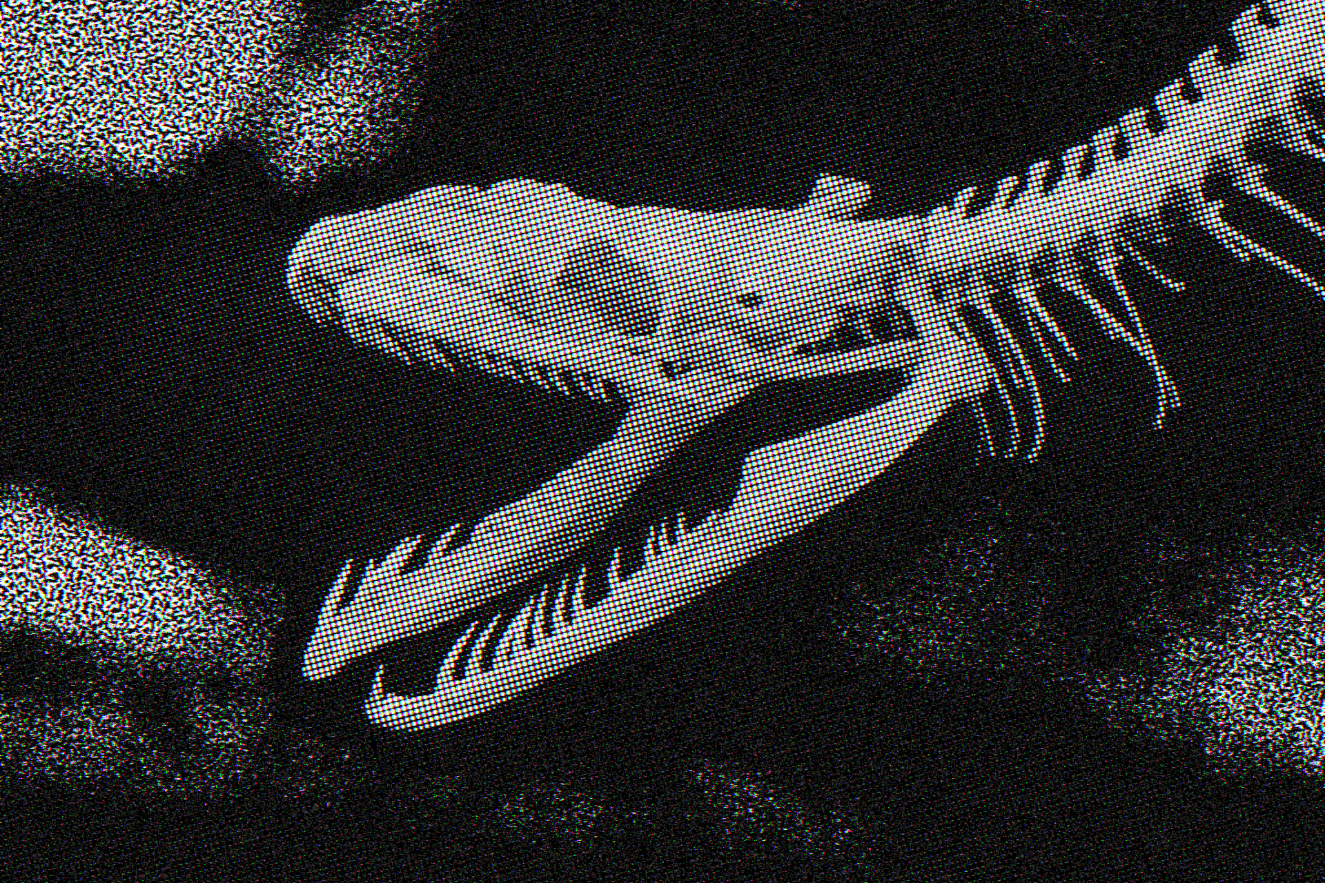 Fossilized vertebrae of Vasuki indicus, one of the largest snakes ever discovered, found in Gujarat, India