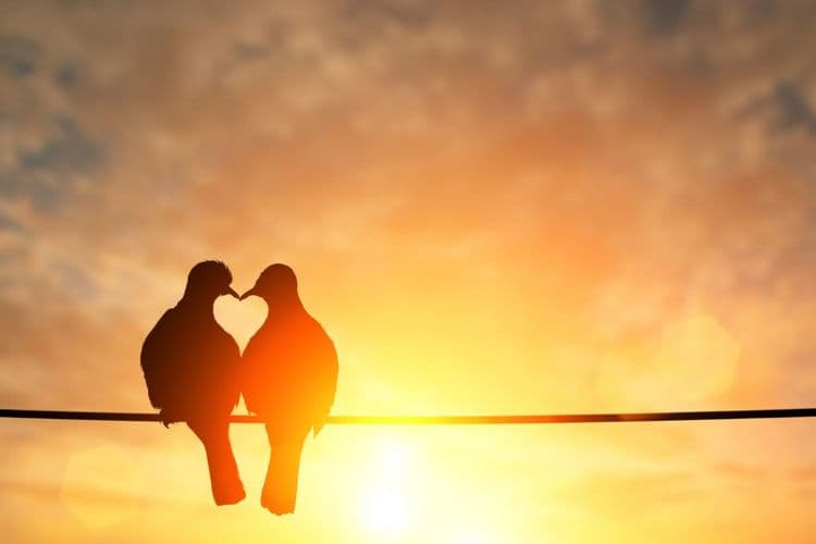 How This Couple Communicates Without Words Or Signs