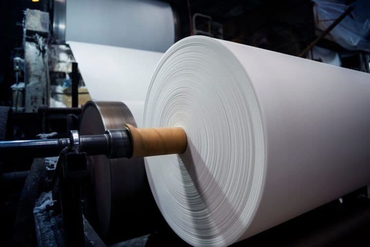 This Pile of Leaves Just Disrupted the Paper Industry