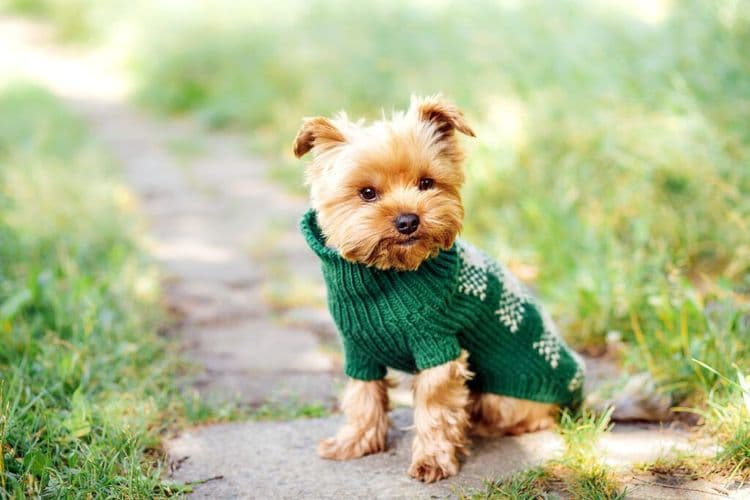 The Most Heartwarming Photo Shoot You've Ever Seen