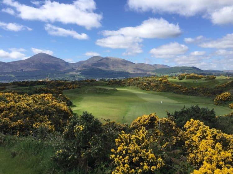 Scotland Transforms Former Golf Course into Thriving Nature Reserve