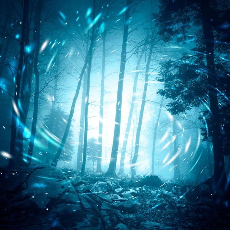 Strange Blue Ghosts Are Attracting Thousands Into the Woods