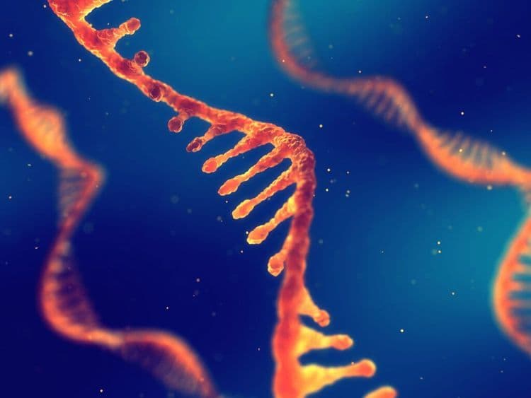 You Won't Believe What MIT Scientists Just Invented