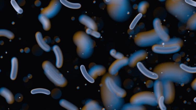 New Self-Powered Biosensor Detects and Eliminates Harmful Bacteria in Water