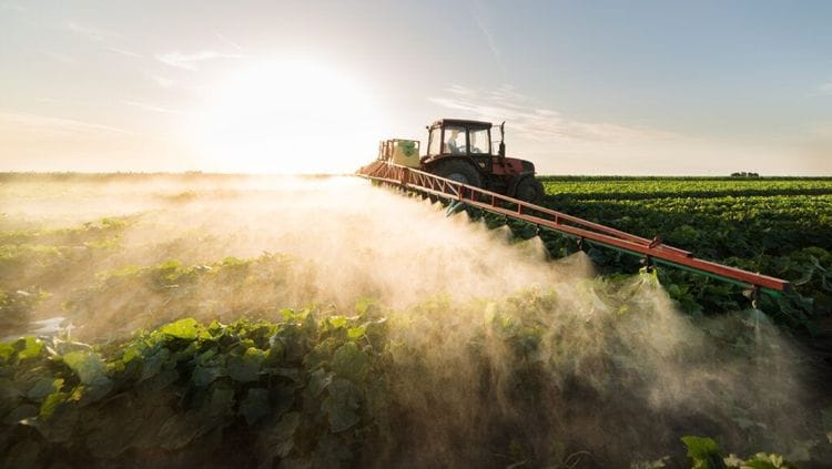 The MIT Researcher Saving Agriculture From Itself