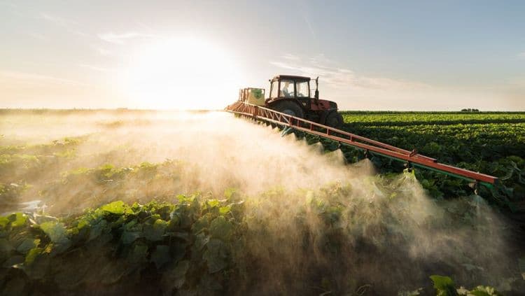 The MIT Researcher Saving Agriculture From Itself