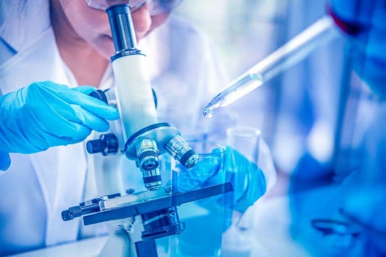 Scientists Uncover Molecular Switch That Could Reverse Cancer