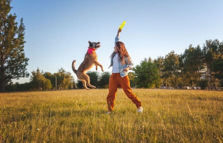 Playing With Dogs Helps Reduce Stress for Both Humans and Canines