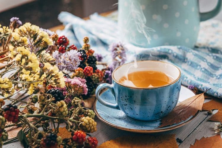 Tea’s Hidden Benefit: Naturally Filtering Lead from Drinking Water