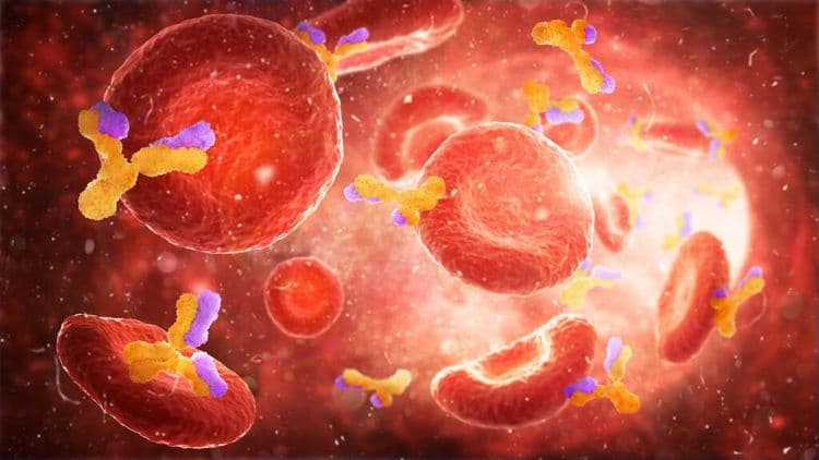 Scientists Uncover Hidden Immune Defense with Potential for New Antibiotics