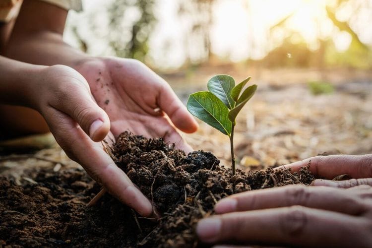 India’s Greta Thunberg Just Grew a Forest at Age 12
