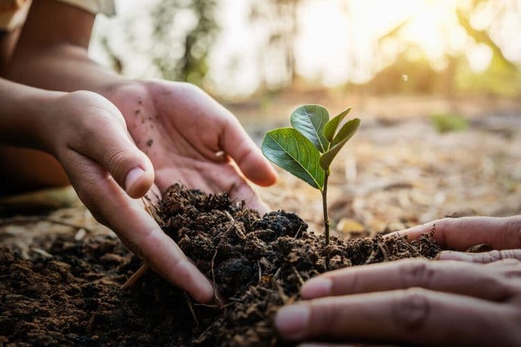 India’s Greta Thunberg Just Grew a Forest at Age 12