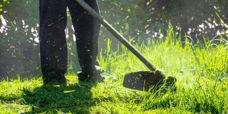 TikTok Star Turns Viral Lawn Care Videos Into Life-Changing Help for Elderly Neighbor