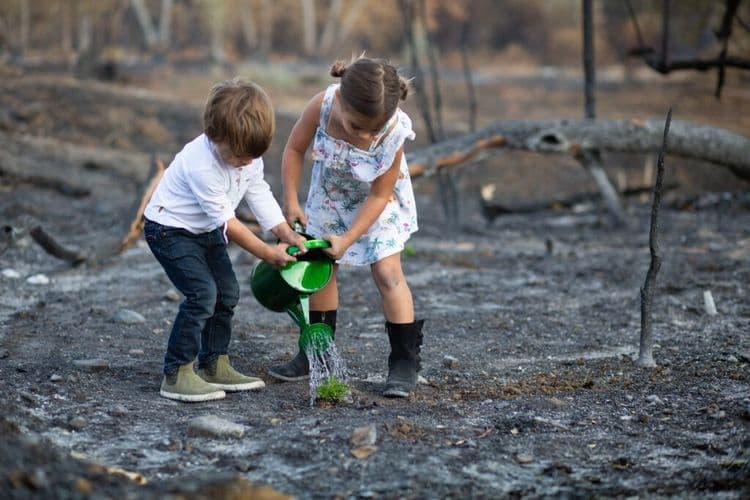 A Camp With a Purpose: Helping Children Cope After Wildfires