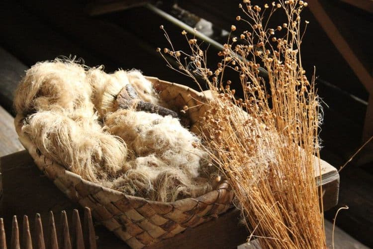 Fur Farming Faces Global Decline Amid Ethical and Economic Challenges
