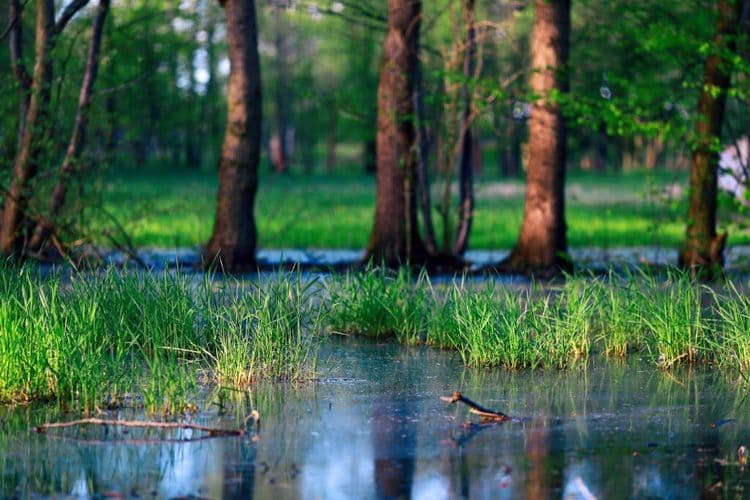 New Wildlife Refuge Expands Conservation Efforts in South Kingstown