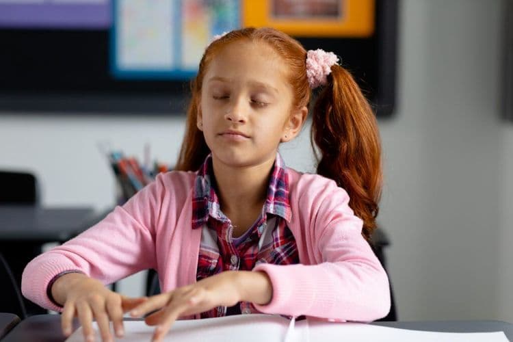 3D-Printed Models Open New Learning Doors for Blind and Low-Vision Students