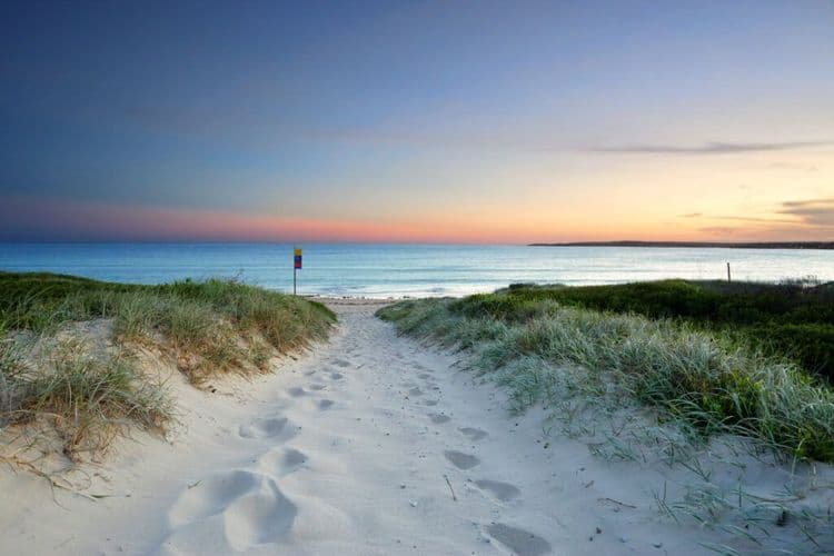 A Cleaner Coastline: Surprising Progress in Australia’s Plastic Fight