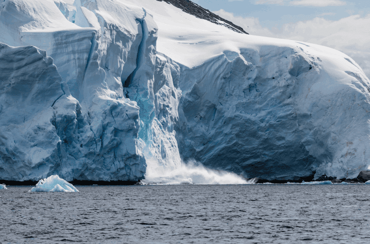 This Antarctic Discovery Is Like Having a Climate Time Machine