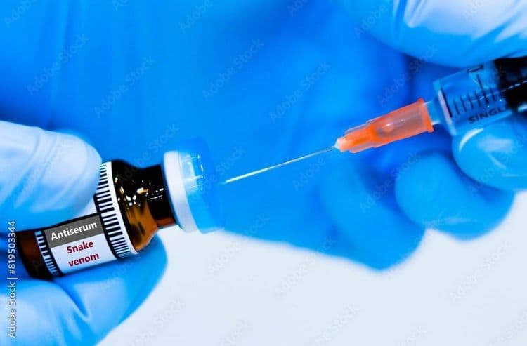 Scientists Transform Nature's Most Dangerous Weapons Into Medicine