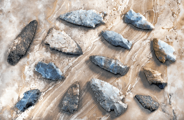 Oldest Known Arrow Poison Reveals Surprises
