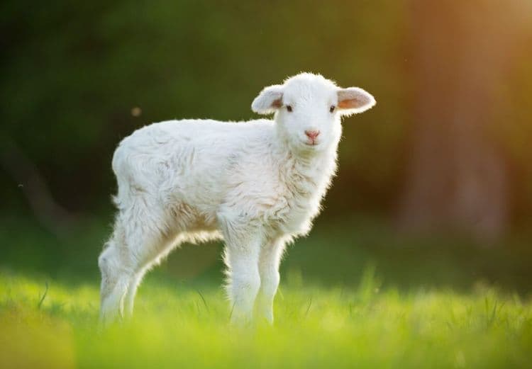 Poland Just Put A Ban On This Huge Industry