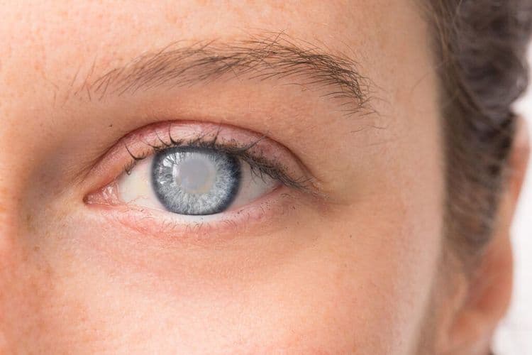 One Step Closer To Reversing Blindness