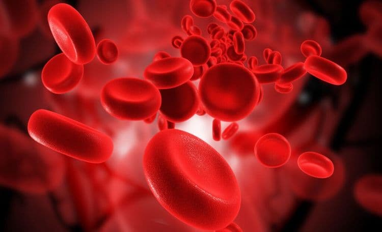 The Blood Robots That Sound Like Pure Science Fiction