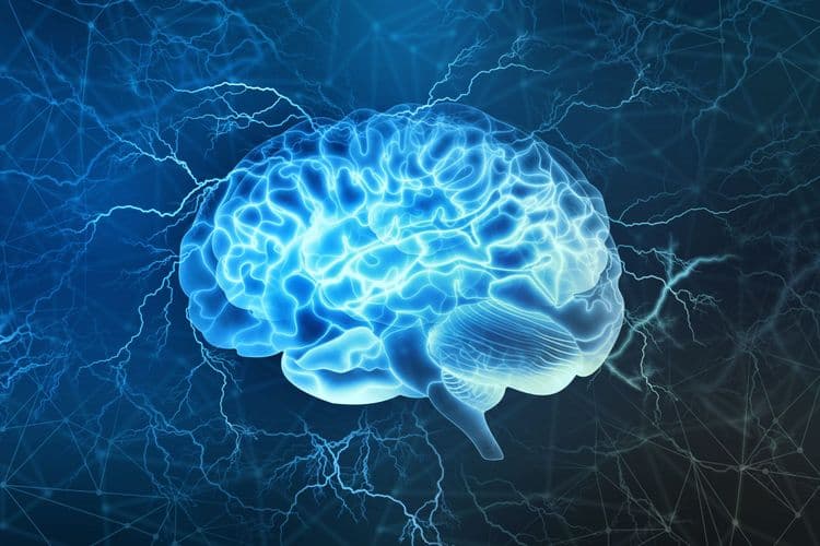 Scientists Taught Brains A New Language Using Light