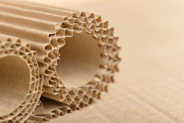Cardboard And Soil Combined Beats Concrete