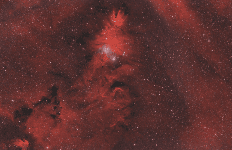NASA's Christmas Project Comparing Vast And Small