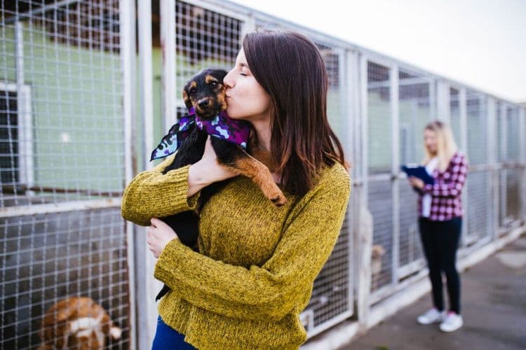 Meet The 10-Pound Dog With The Most Honest Adoption Profile Ever