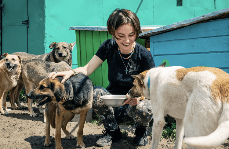The Animal Shelter That Ran Out Of Pets