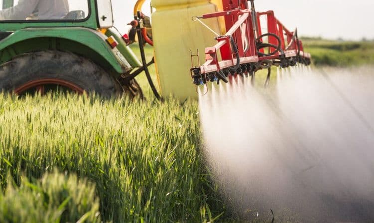 This Agricultural Policy Change Is Preventing Deaths