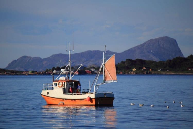 Solar Buoys Are Solving A Deadly Problem In Ocean Fishing