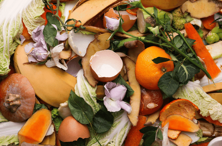 EU Just Declared War On Food Waste