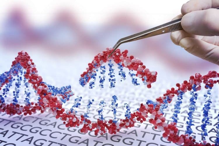 The CRISPR Revolution Is Rewriting Medicine