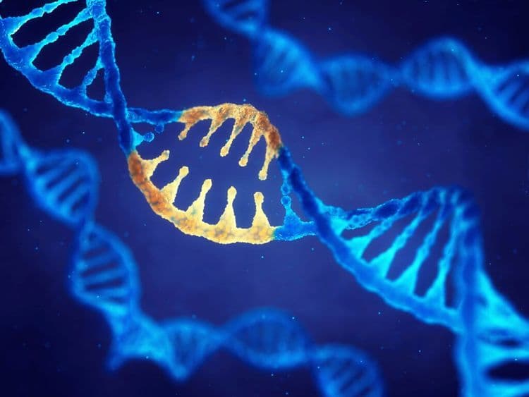 Scientists Discover DNA Can Do Something Nobody Ever Imagined