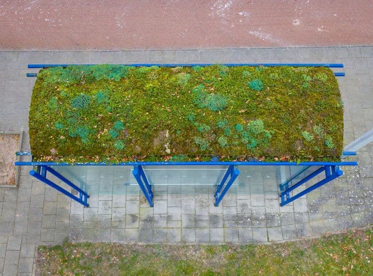 The Future of Bus Stops Brings Us Back to Nature