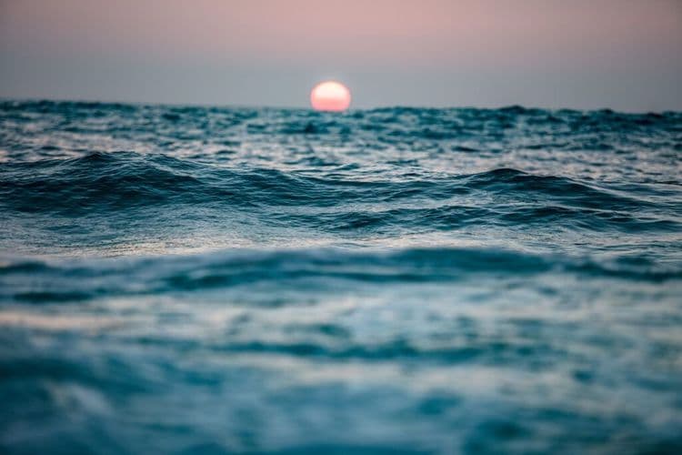 High Seas Treaty Will Protect 30% Of The High Seas In 2026