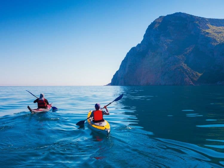 Homegrown Mushroom Kayak Sails The Ocean