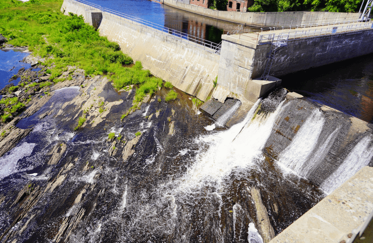 This Dam Removal Could Save Endangered Species