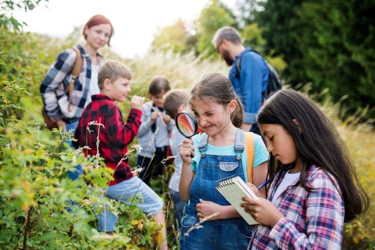 Daycare Rewilded Its Yard And Children Got Healthier Immediately